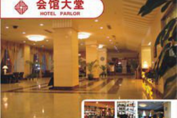 合肥新茶嫩茶wx：绿茶嫩芽，春季养生的美味助手